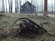 Forgotten Treasures of the Past