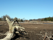 harrison park 124.JPG