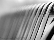 IMG_0016resting cs.JPG