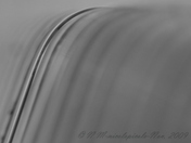 IMG_0012 curves cs.JPG