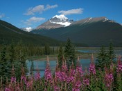Ramport Creek Alberta