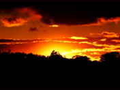Sunset-MAY-06-2010 029a.0.jpg