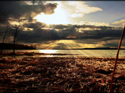 To be a painter, one must work with rays of light. ~Edvard Munch