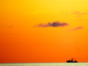 another rocky harbour sunset.jpg