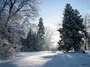 _DSC1537 v1 small.jpg