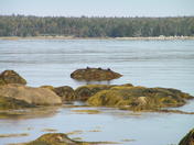 Thomas Raddall Provincial Park