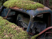 Mossy Truck