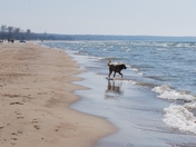 Sauble Beach 2 137.JPG