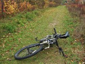 Pit Stop with a View