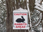 new profile winter pic 034.JPG