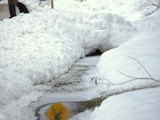 stables train 048.JPG