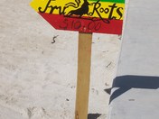 No Thanks, I'll Use my Towel