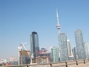 T Dot 033.JPG