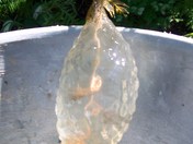 civic holiday 1-08 369.JPG