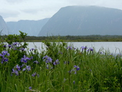 Gros Morne National Park