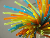 January 2011_2396edit2.jpg