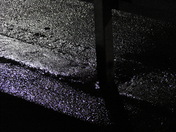 Nice Night for a Murder