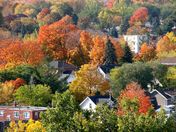 Views from Mt Pelion (Hidden Among the Trees)