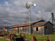 A morning at the farm