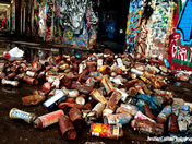 Les friches urbaines de MontrÃ‡al