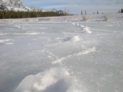 snoe shoeing allstone 011.jpg