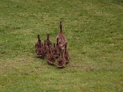 2012-05-27 001 044.JPG