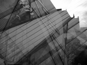 The Elements of Style