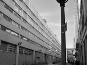 Downtown Cityscape III