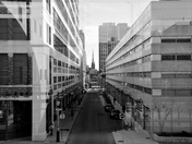 Downtown Cityscape I