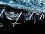 In the Swim of Summer