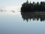 Misty morning - Algonquin Park
