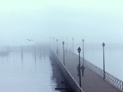 Pier in the Mist White Rock BC