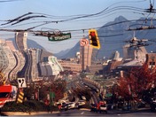 It's a Jungle Out There.