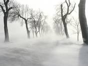 Experimental Farm Road