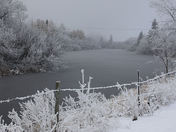 Thin Ice - Hoar Frost - Fog