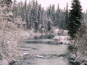 Caribou Creek Postcard.jpg
