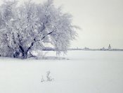 Winter Frost - Indian Head Skyline
