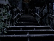Forest Stairs