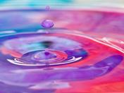 IMG_3783 (Medium).jpg