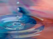 IMG_3866 (Medium).jpg