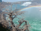 Niagara Falls