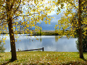 SUNNY NICKLE LAKE.jpg