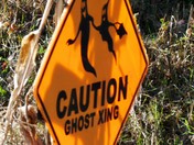 Ghost Xing