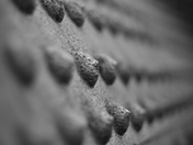 Rusted and Pitted Rivets