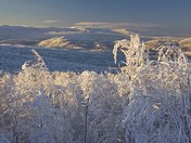 On Top of Foster Mountian