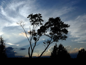 At the end of the day...