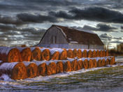 barn and hayrolls.jpg