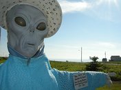 Nova Scotian alien scarecrow - Joe Delaney's artwork