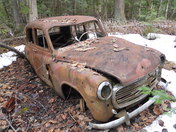 Old car in the woods