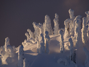 Mt. Seymour Provincial Park